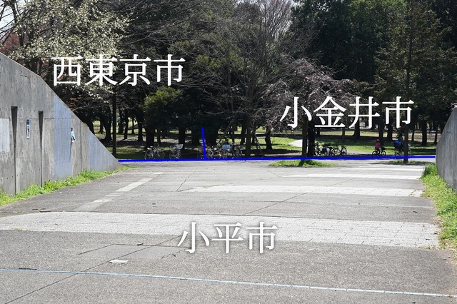 7小金井公園.jpg